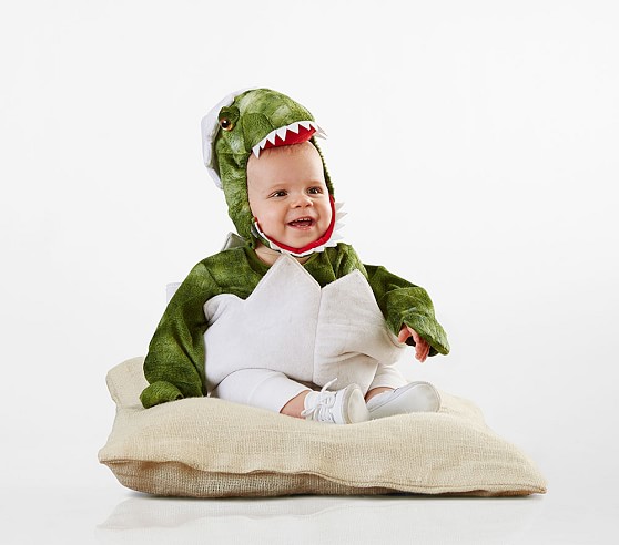 infant girl dinosaur costume