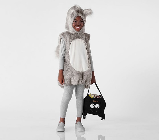 pottery barn squirrel costume