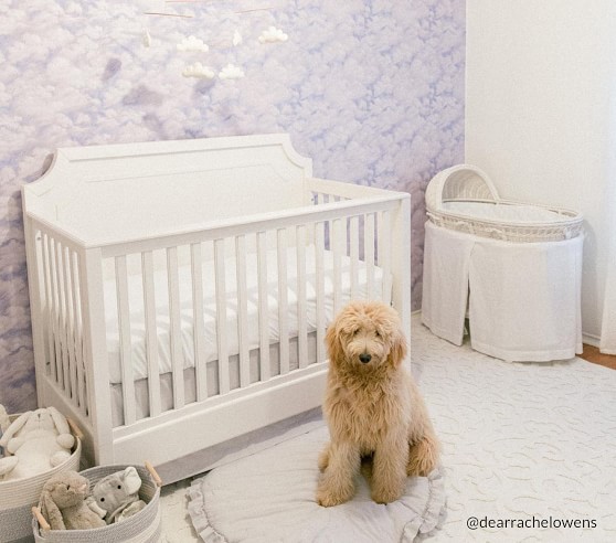 ava regency convertible crib