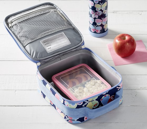 Details about   Kid’s Pottery Barn Lunch Box Mint/Gray w/ Pink Accent 