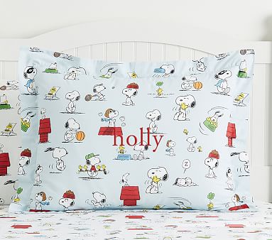 Pottery Barn Kids Peanuts Organic Duvet Cover Full//Queen and two standard shams