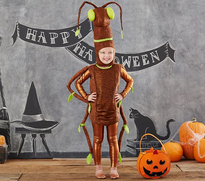 Toddler Stick Bug LightUp Halloween Costume Pottery Barn Kids