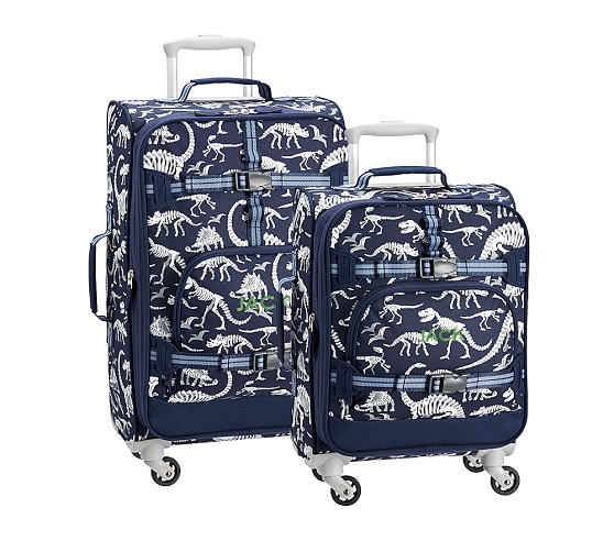 dinosaur suitcases for kids