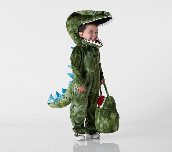 Kids dino costume Clearance
