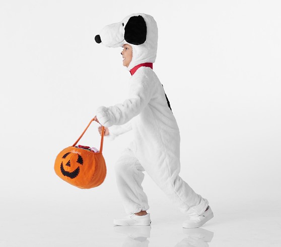 snoopy costumes