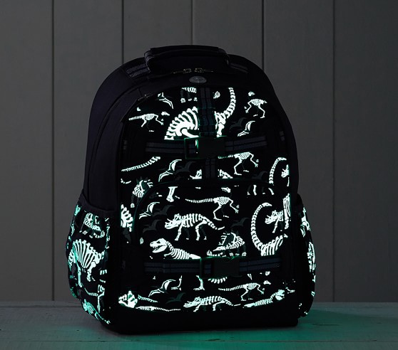 dinosaur back pack