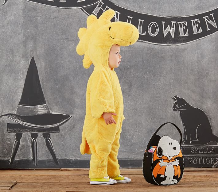 Baby Woodstock™ Halloween Costume Pottery Barn Kids