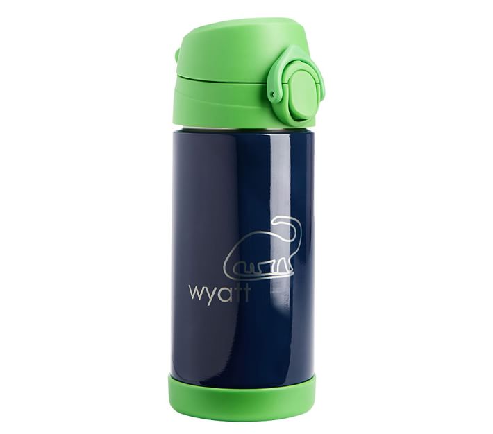 Fairfax Insulated Kids Water Bottles Pottery Barn Kids