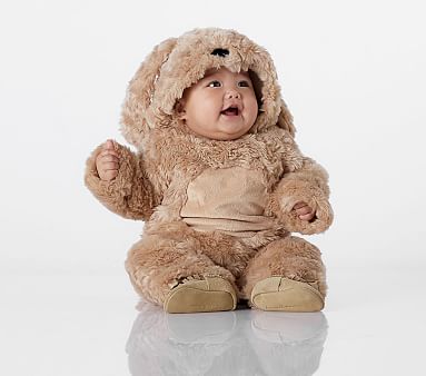 Details about   Pottery Barn Kids Baby Lion Costume 0-6 Months NEW 