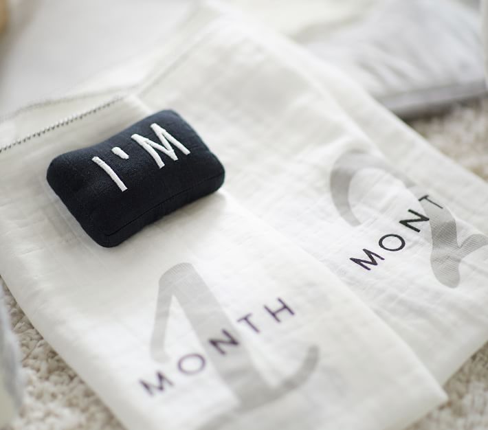 Milestone Blanket Pottery Barn Kids