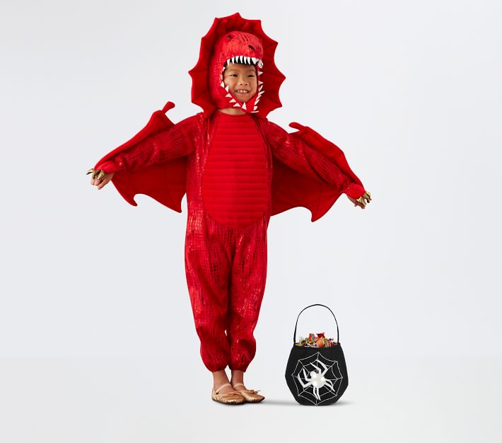Kids Red Dragon Costume Pottery Barn Kids