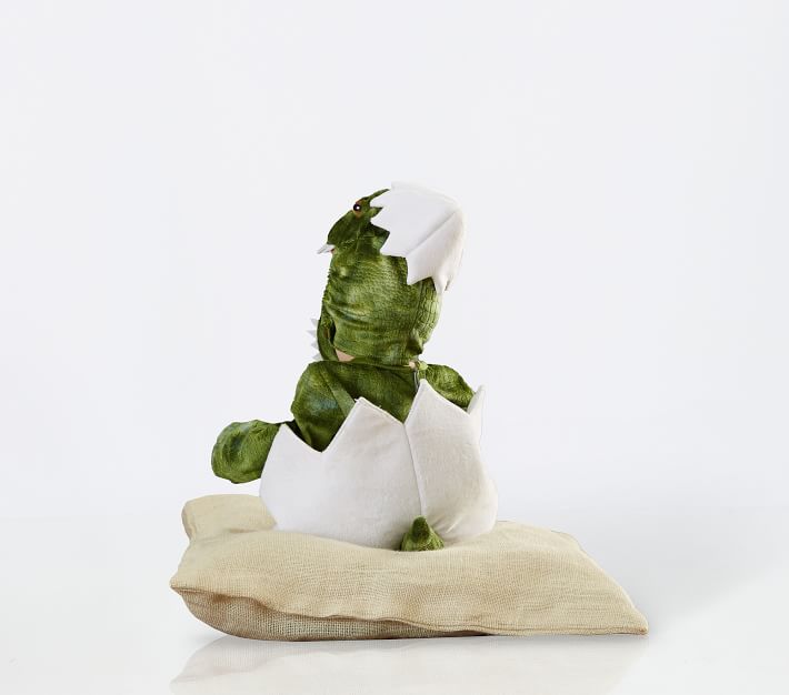 Baby Dinosaur Egg Costume Pottery Barn Kids