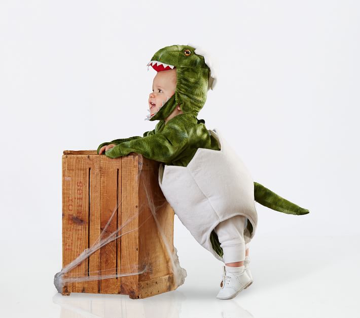 Baby Dinosaur Egg Costume Pottery Barn Kids
