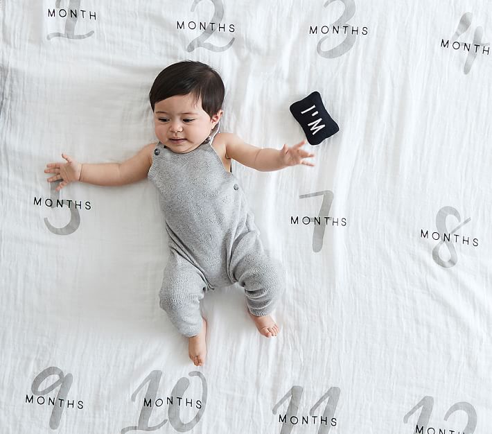 Milestone Blanket Pottery Barn Kids