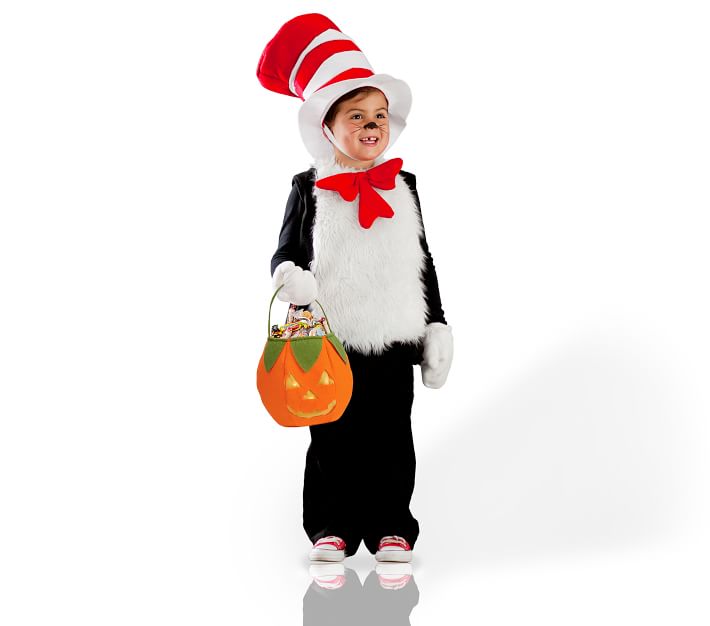 newborn cat in the hat costume