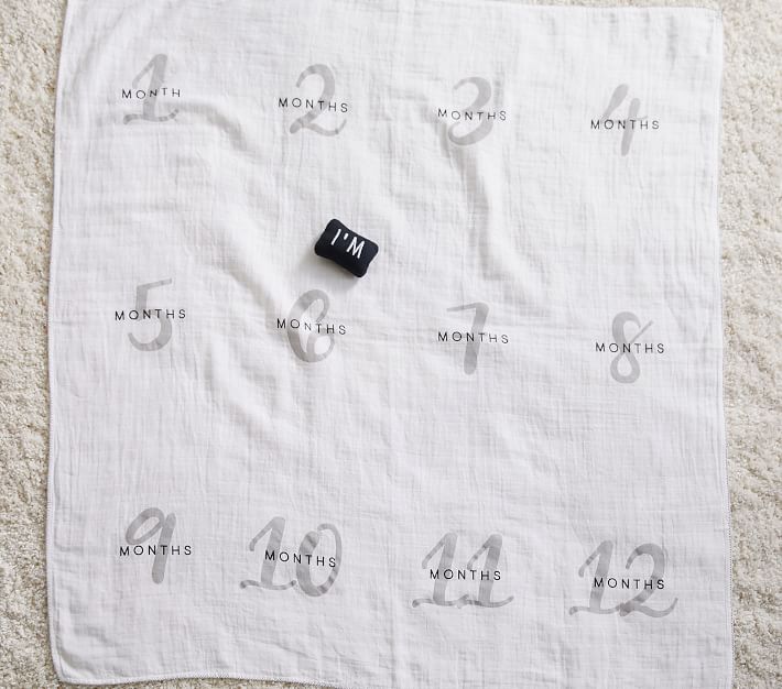 Milestone Blanket Pottery Barn Kids