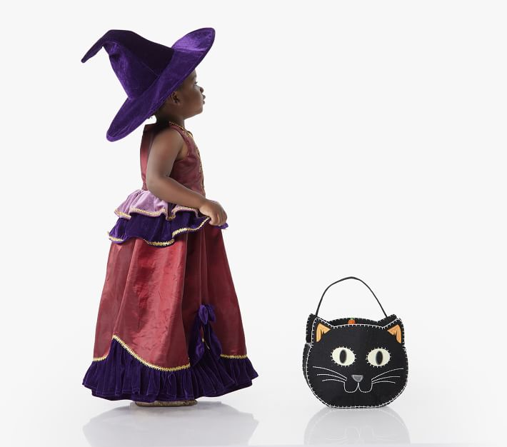 Pottery Barn Witch Costume