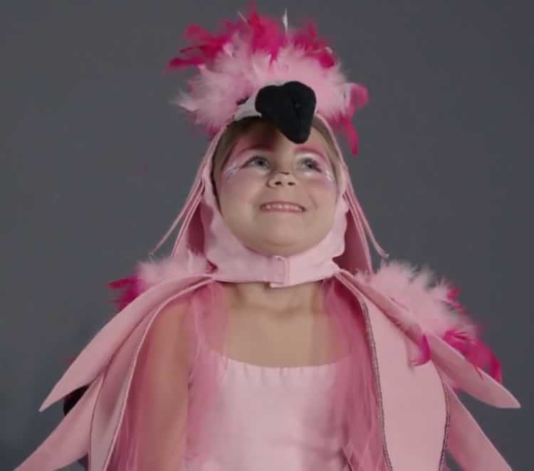 Flamingo Toddler Halloween Costume Pottery Barn Kids