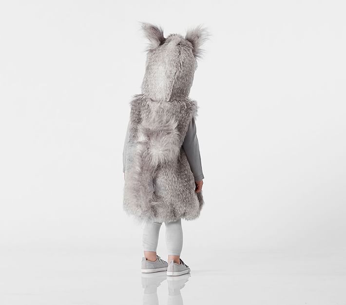 Woodland Squirrel Toddler Halloween Costume Pottery Barn Kids