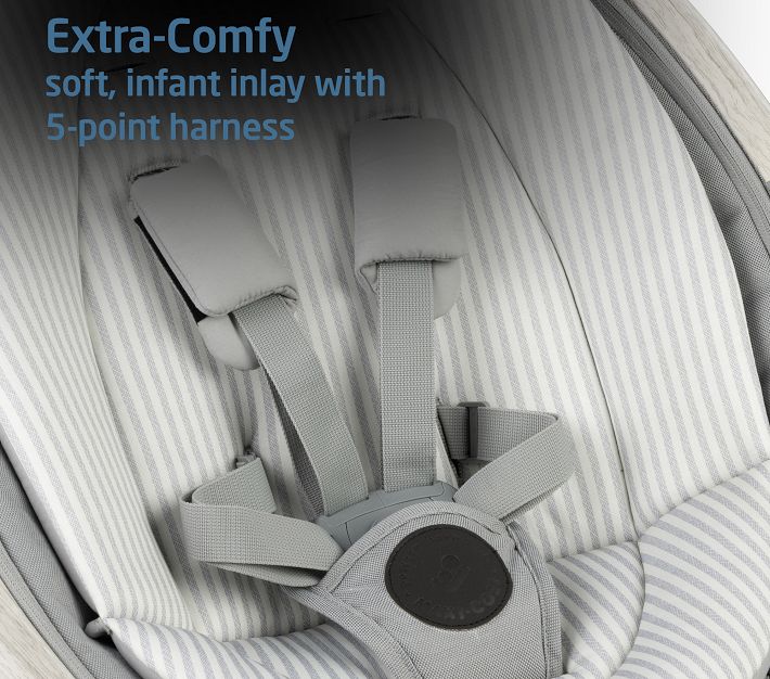 MaxiCosi® Baby Cassia Swing Pottery Barn Kids