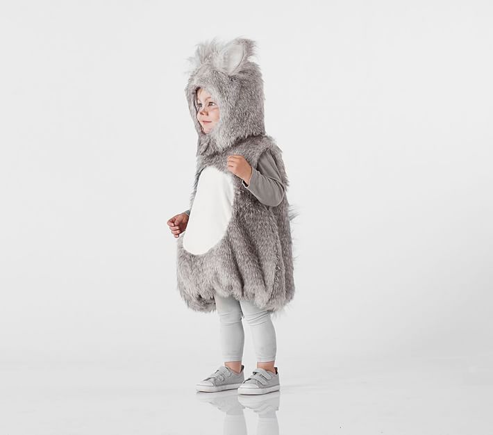 Woodland Squirrel Toddler Halloween Costume Pottery Barn Kids
