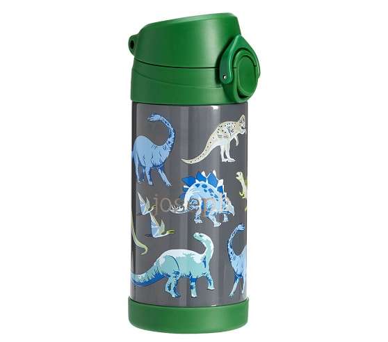 Green Gray Lost World Kids Water Bottle | Pottery Barn Kids