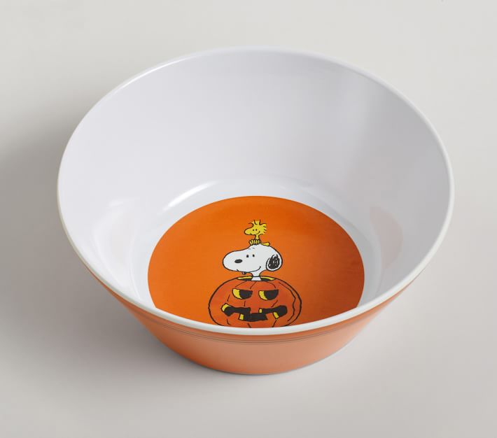 Peanuts Snoopy Charlie Brown Ceramic Food container Covered Bowls