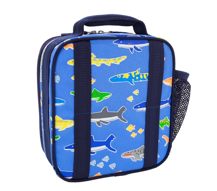 Mackenzie Blue Bright Sharks Glow-In-The-Dark Lunch Boxes | Pottery ...