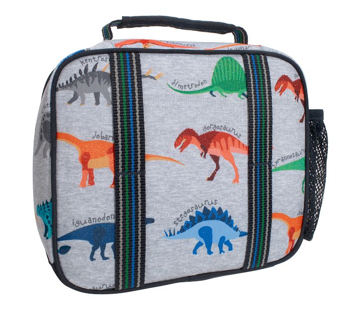 Mackenzie Finn Dino Lunch Boxes | Pottery Barn Kids