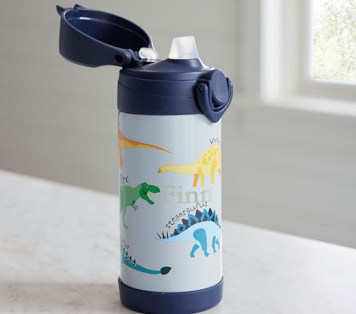 https://assets.pkimgs.com/pkimgs/ab/images/dp/wcm/202321/0113/mackenzie-finn-dino-water-bottle-1-o.jpg