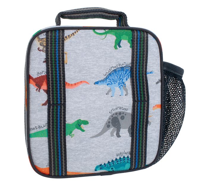 Mackenzie Finn Dino Lunch Boxes | Pottery Barn Kids