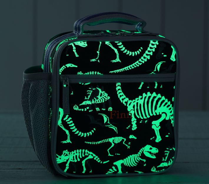 https://assets.pkimgs.com/pkimgs/ab/images/dp/wcm/202323/0003/mackenzie-green-glow-in-the-dark-dinos-lunch-boxes-o.jpg