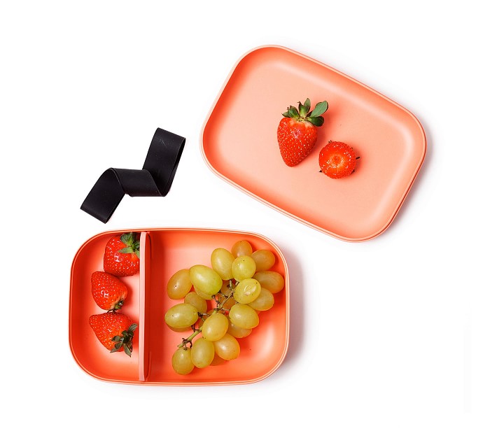 Custom Ekobo Rectangular Bento Box