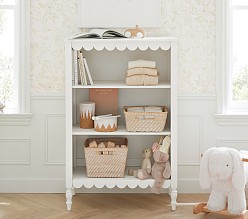 Penny Bookcase