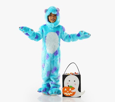 sully monsters inc costume