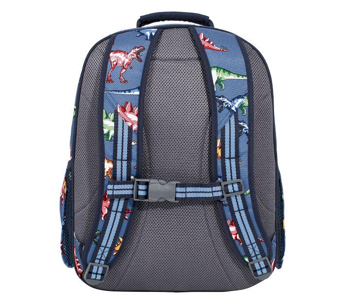 https://assets.pkimgs.com/pkimgs/ab/images/dp/wcm/202331/0015/mackenzie-blue-multi-dino-backpacks-1-o.jpg