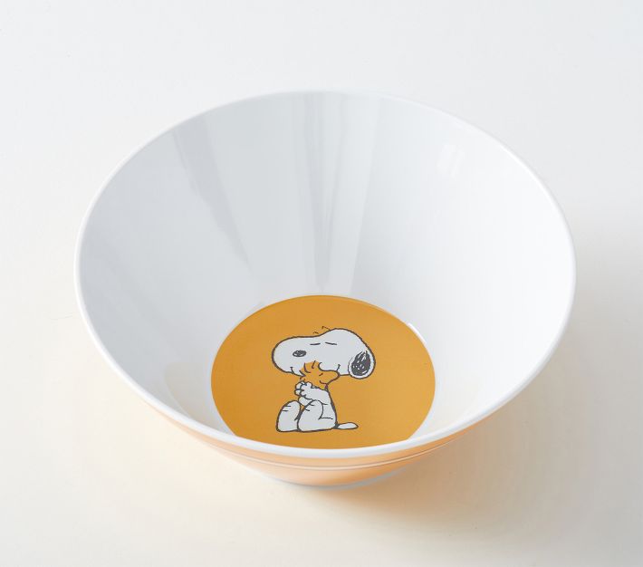 Peanuts Snoopy Charlie Brown Ceramic Food container Covered Bowls