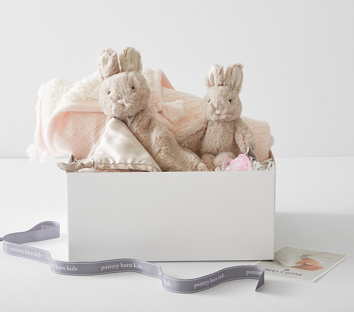 Pottery Barn Kids Bunny Snuggle Baby Gift Set