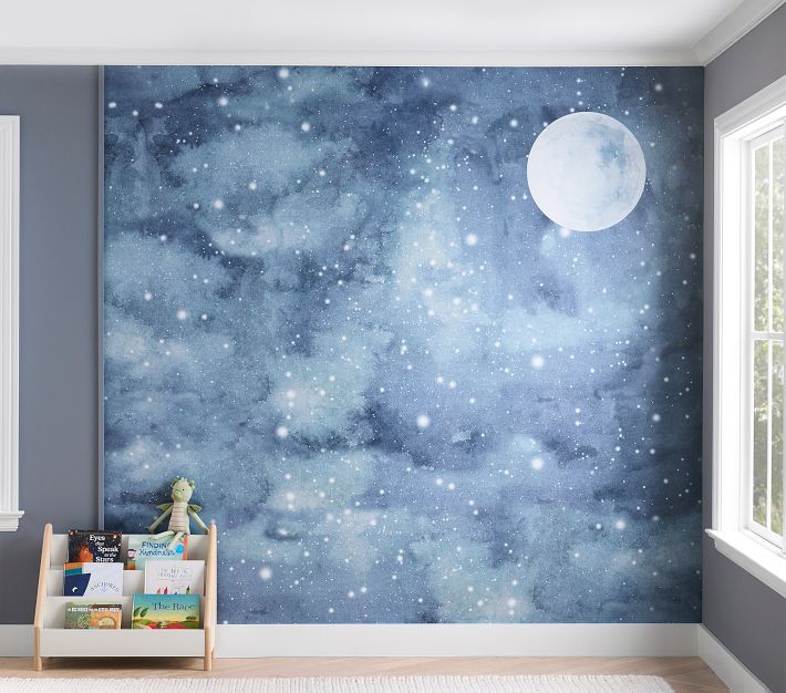 https://assets.pkimgs.com/pkimgs/ab/images/dp/wcm/202335/0239/night-sky-mural-o.jpg