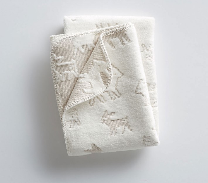 Fuzzy Fawn Baby Blanket Pottery Barn Kids