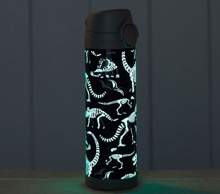 Mackenzie Blue Dino Glow-in-the-Dark Kids Water Bottles & Thermos
