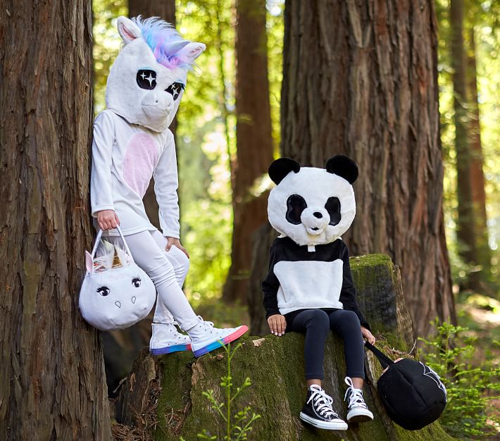 Panda Big Head Toddler Halloween Costume | Pottery Barn Kids