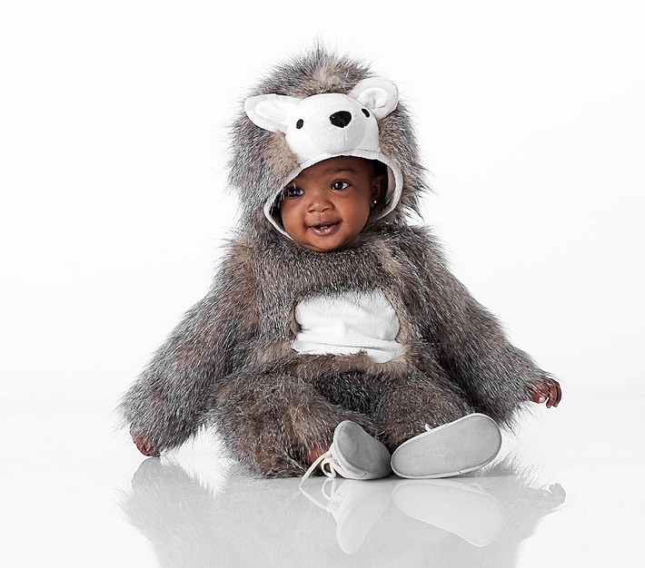 Baby Hedgehog Halloween Costume Pottery Barn Kids
