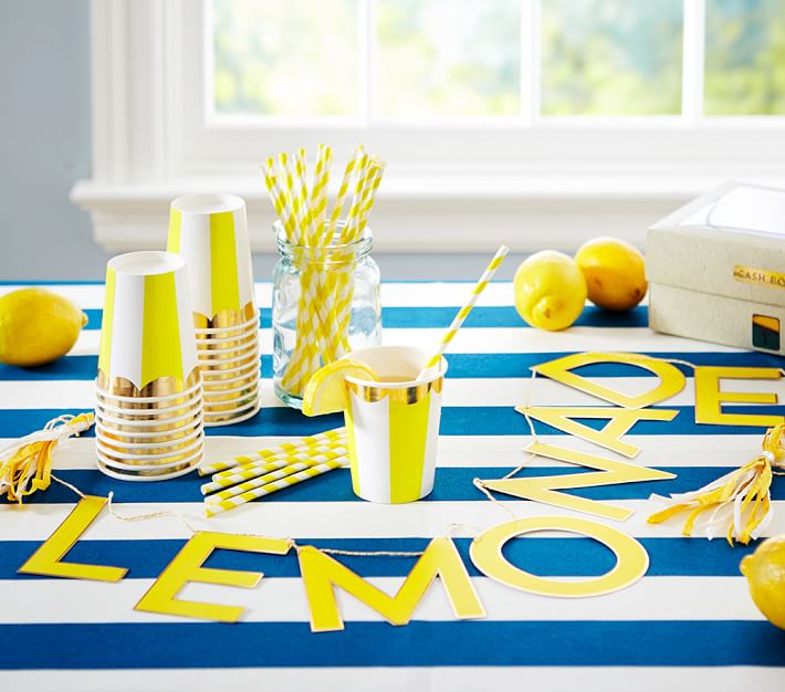 Lemonade Kit in a Box Outdoor Toys Pottery Barn Kids