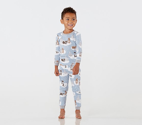 Winter Bear Cotton Tight Fit Kids Pajama | Pottery Barn Kids