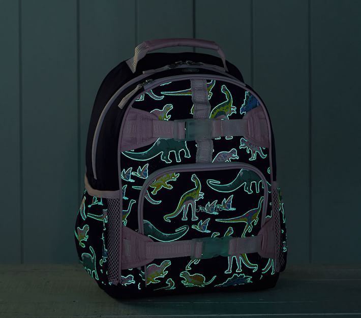 https://assets.pkimgs.com/pkimgs/ab/images/dp/wcm/202337/0241/mackenzie-pink-navy-glow-in-the-dark-dinos-backpacks-o.jpg