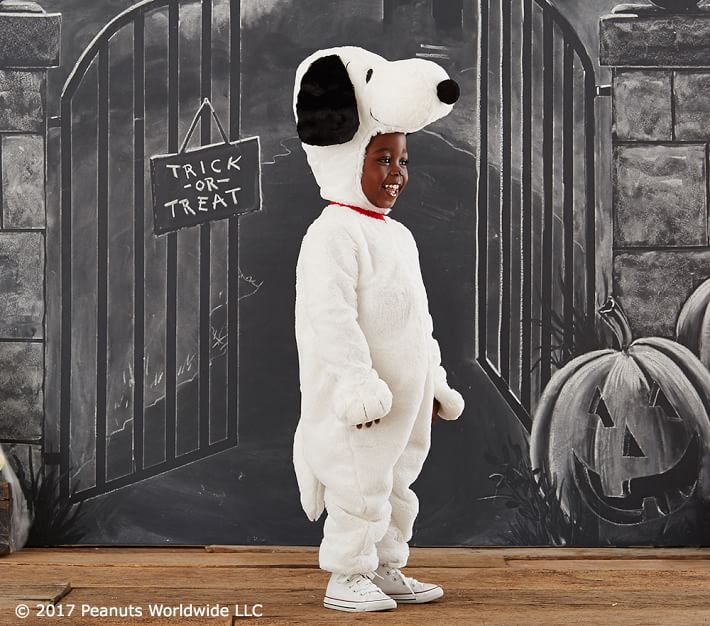 Kids Snoopy® Costume | Pottery Barn Kids