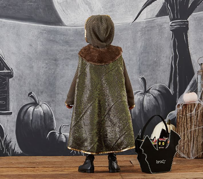 Toddler King Halloween Costume Pottery Barn Kids