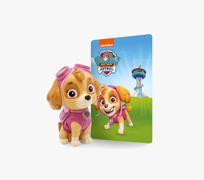 Lunch Box - Paw Patrol - Pink - Skye And Everest - Rainbow - Insulated