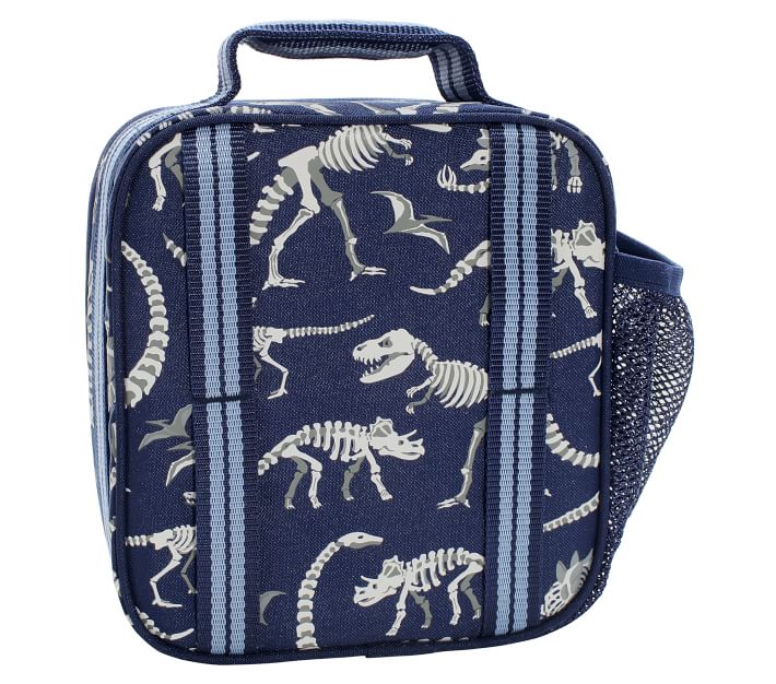 DANDY DINO LUNCH BOX – Viking Cooking School